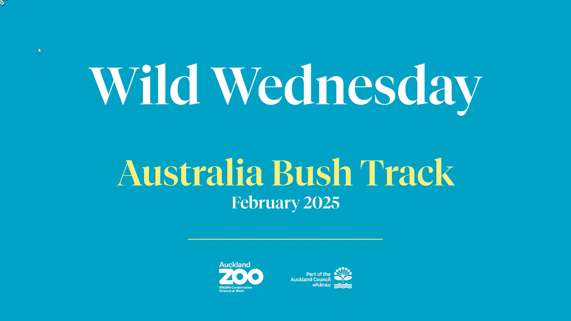 Title screen with the words 'Wild Wednesday Australia Bush Track February 2025', with Auckland Zoo and Auckland Council logos